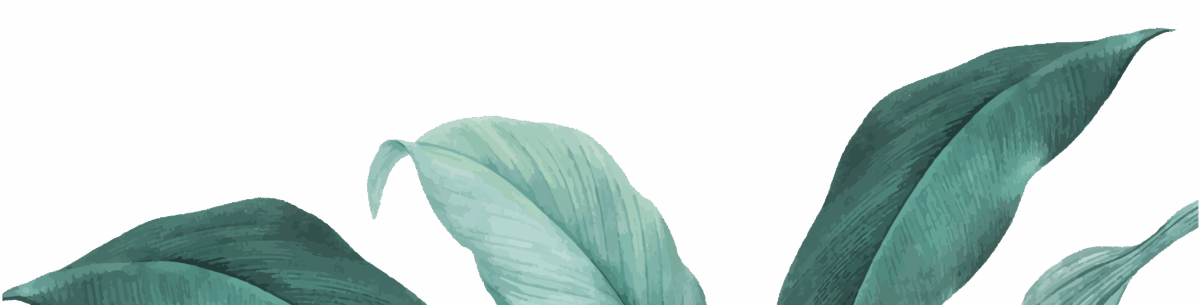 mango lounge alcudia